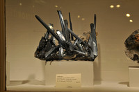 Meteorites and Crystals @ Harvard Natural History Museum